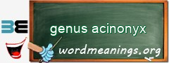 WordMeaning blackboard for genus acinonyx